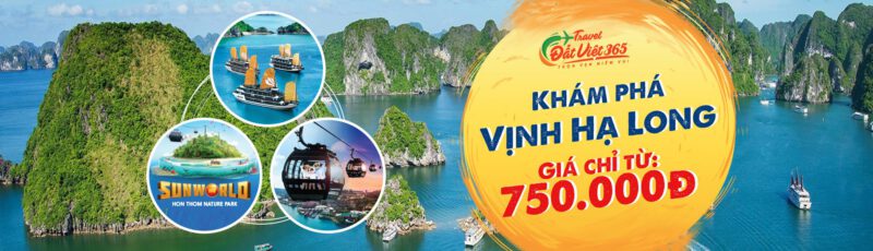 Thuê Xe Hợp Đồng Tại Bình Dương - Anh Ba Travel