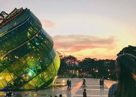 Thuê Xe Sài Gòn Đi Đà Lạt - Giá Chỉ 2.299k Trọn Gói, Xe Đưa Đón Tận Nhà - Anh Ba Travel