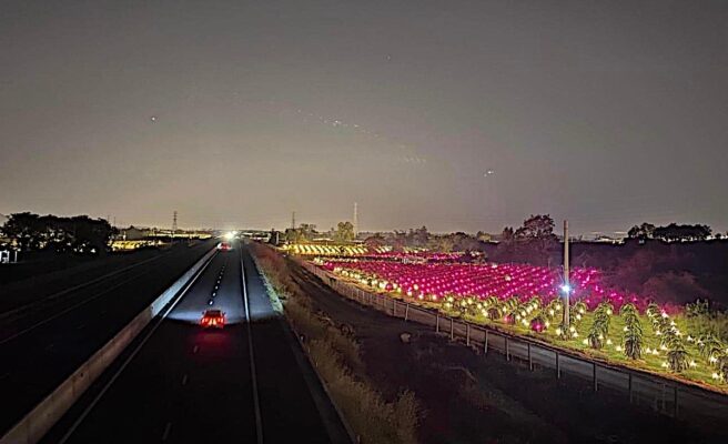 Thuê Xe Du Lịch Tại Đức Linh