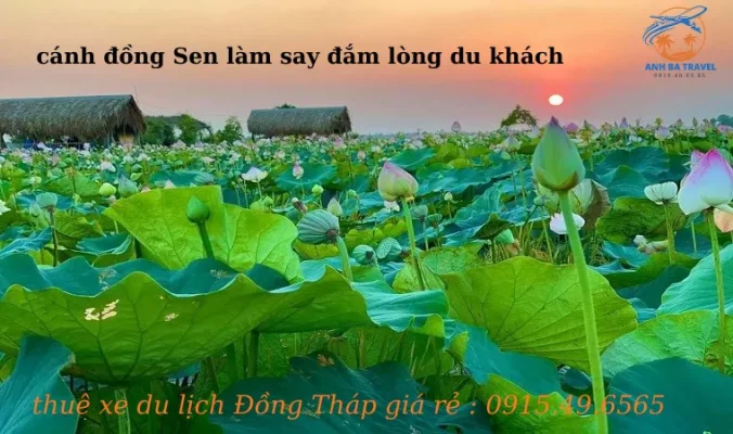 Thuê Xe Dịch Vụ Đồng Tháp Giá Rẻ – Xe 4-7-16-29-45 Chỗ, Đưa Đón Tận Nơi Tại Anh Ba Travel