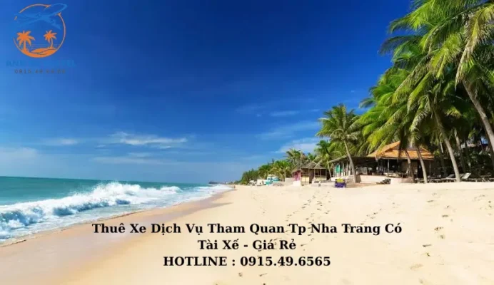 Thuê Xe Dịch Vụ Đi Nha Trang - Xe 4-7-16-29 Chỗ Giá Rẻ, Đưa Đón Tận Nơi - Anh Ba Travel