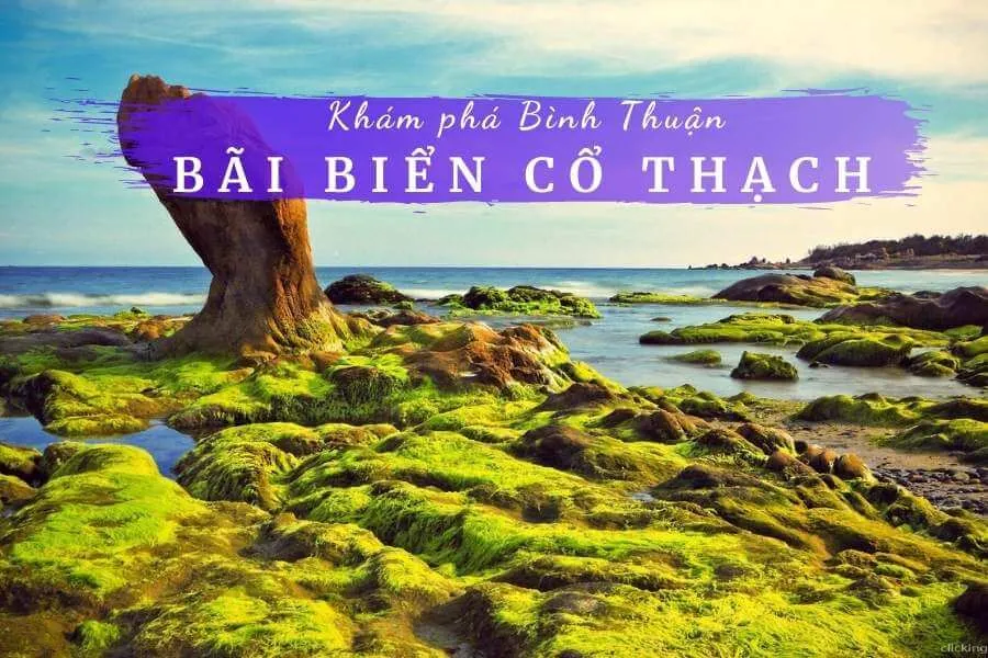 Bãi Đá Cổ Thạch Tuy Phong – Bãi Biển Có 1 Không 2 Bãi Đá Cổ Thạch Tuy Phong - Bãi Biển Có 1 Không 2